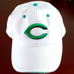 Cincinnati Reds, Ohio, Green Fox Sports hat